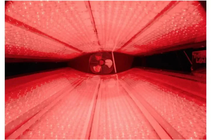Sparx Red Light Therapy Bed